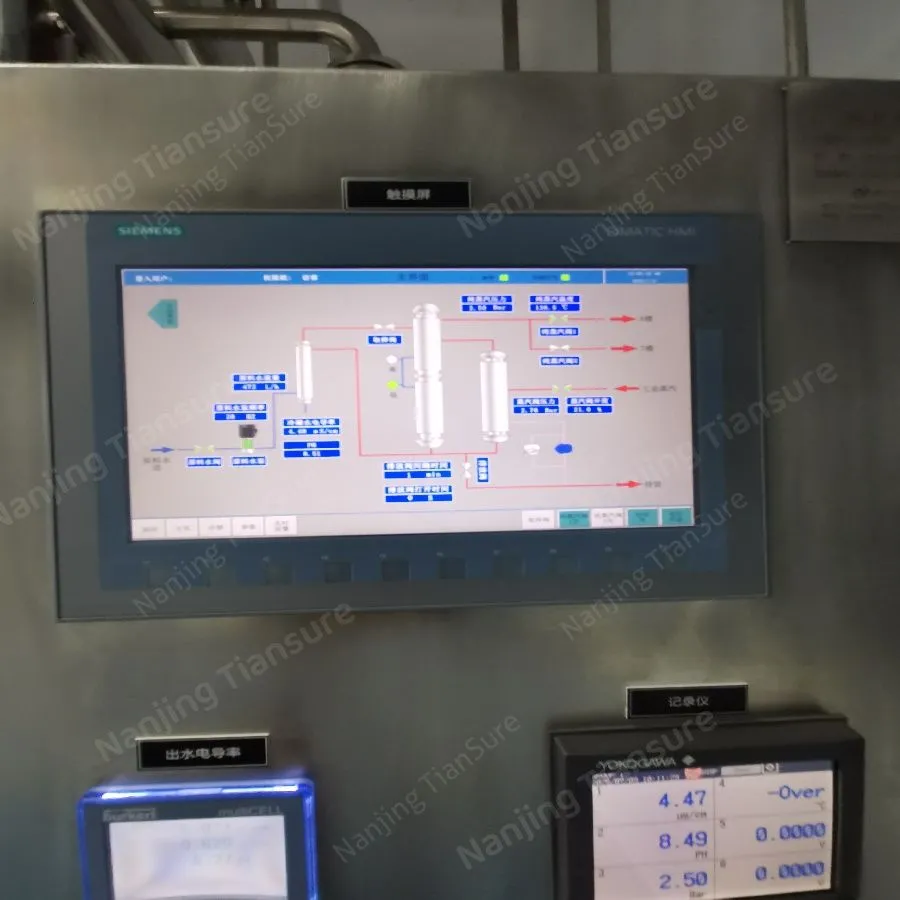 Pure steam sterilization system