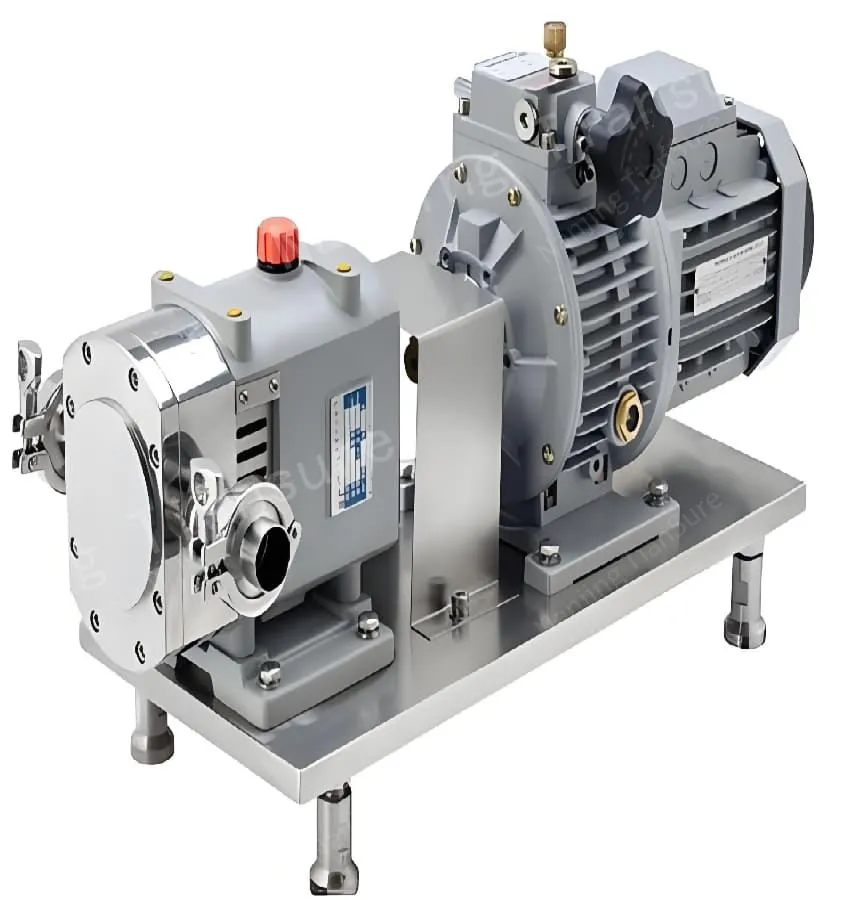 Rotor pump