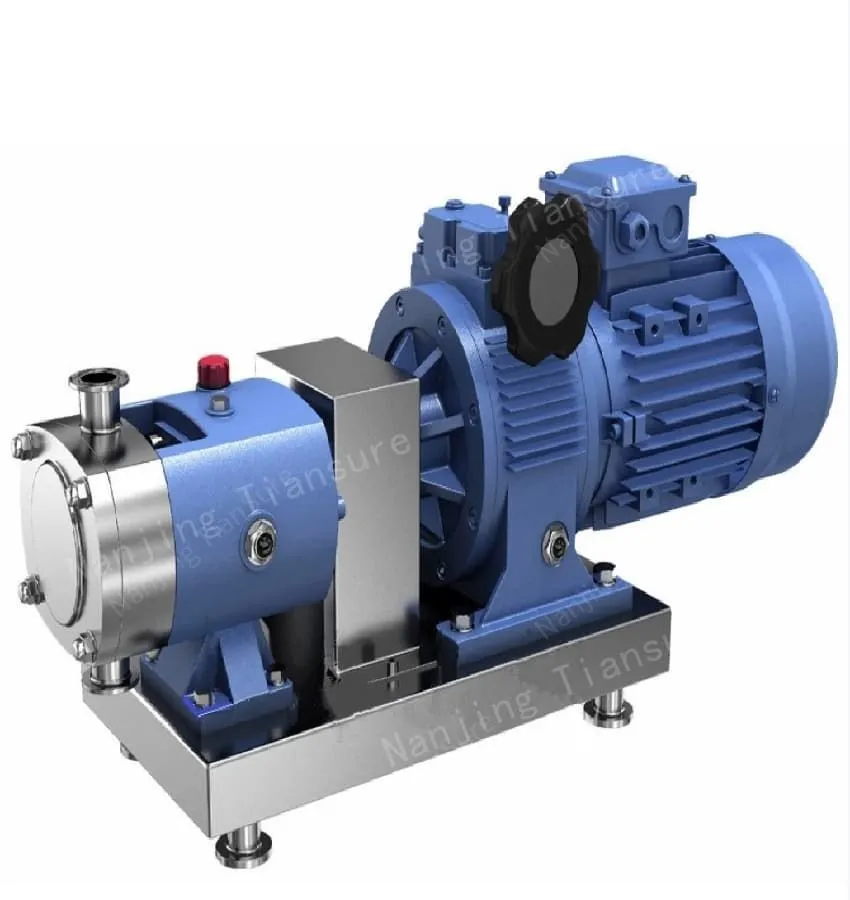 Rotor pump