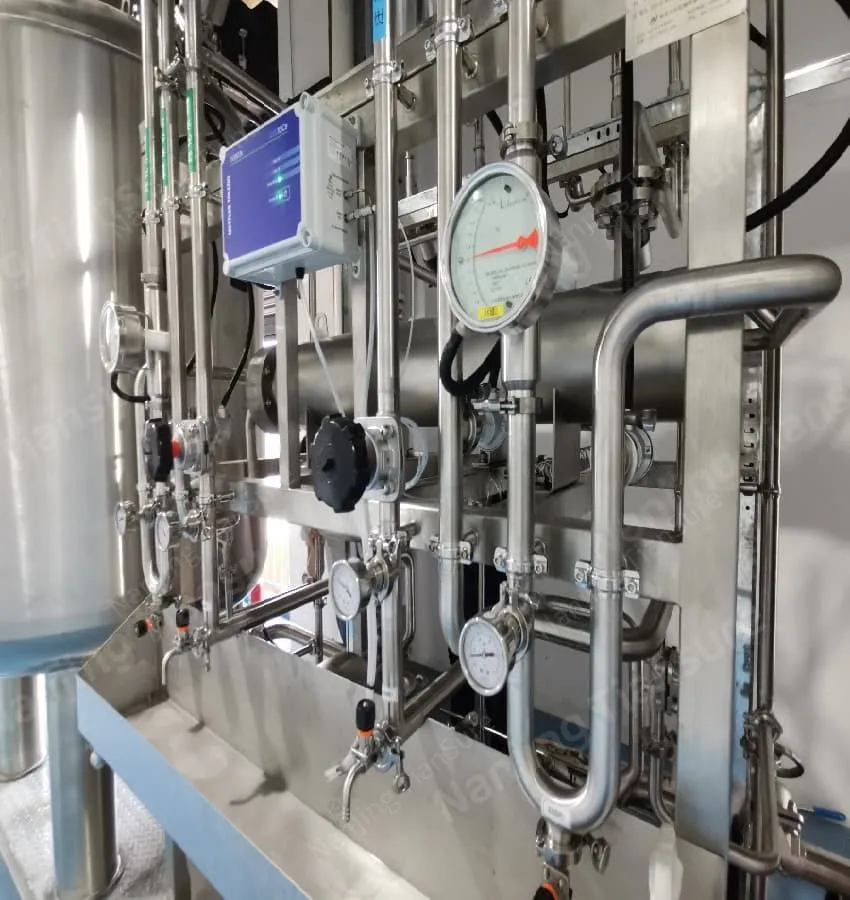 cGMP purified water storage and distribution loop