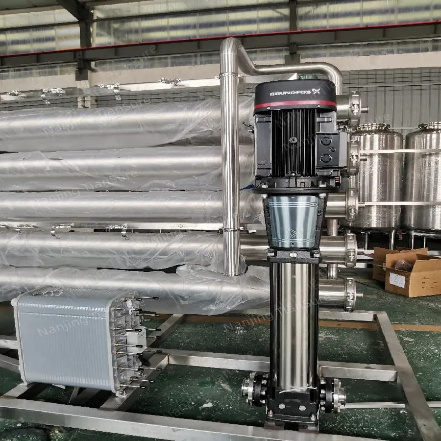Two-Stage RO Purified Water Equipment