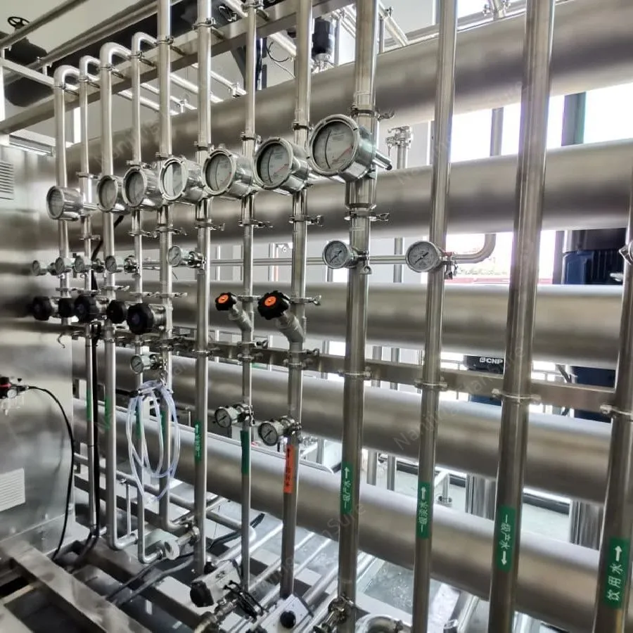 GMP purified water system