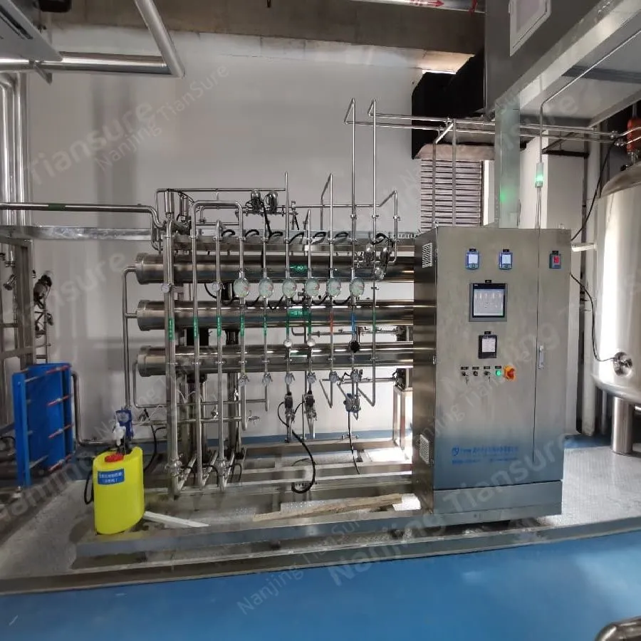 GMP purified water system