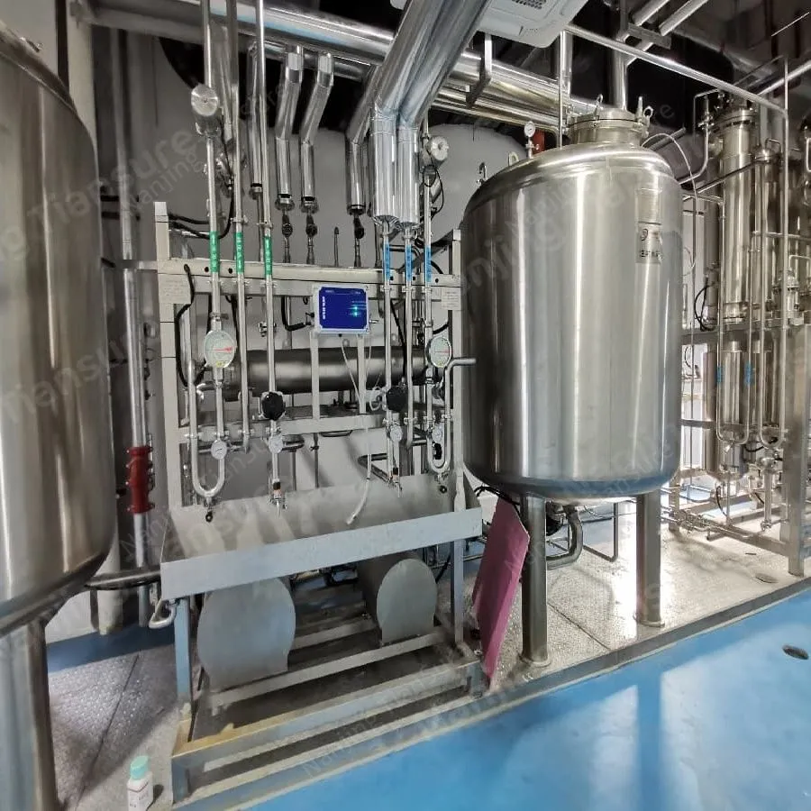 GMP WFI water system